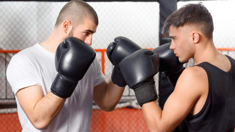 IAKOBCHUK VIACHESLAV / Shutterstock.com