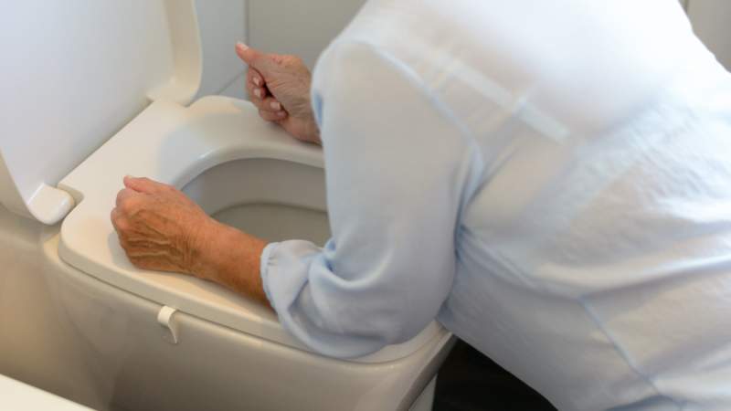 michaelheim / Shutterstock.com