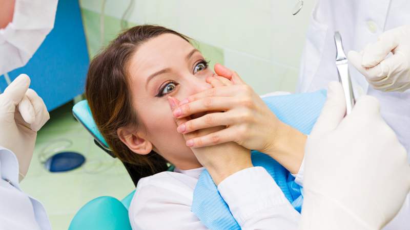 pathdoc / Shutterstock.com