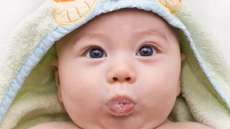 Thai Soriano / Shutterstock.com