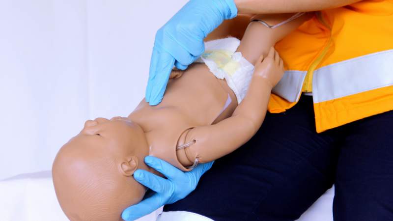 systemedic / Shutterstock.com