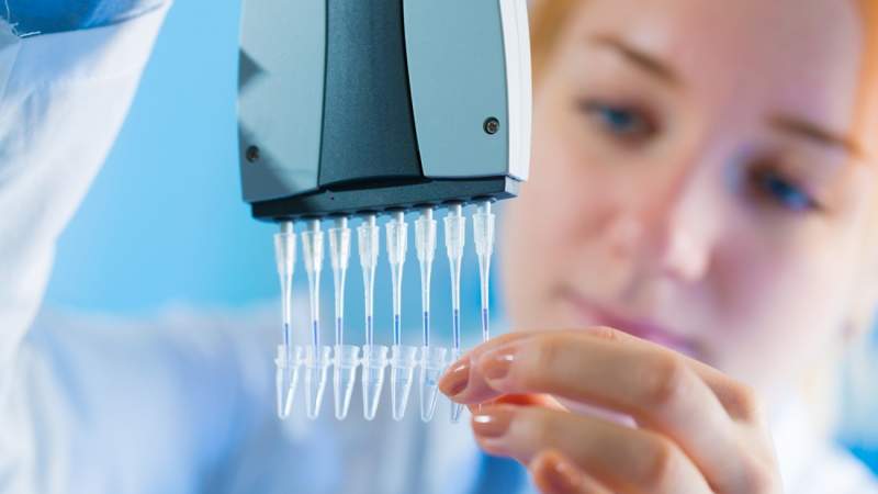 science photo / Shutterstock.com