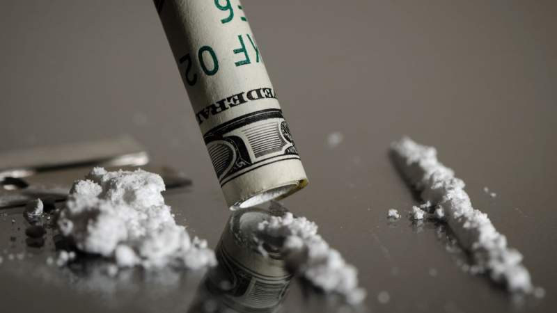 Christopher Slesarchik / Shutterstock.com