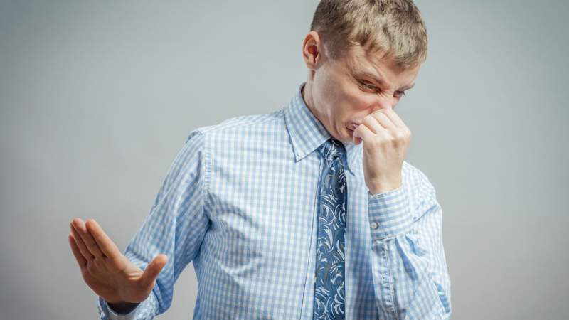 file404 / Shutterstock.com