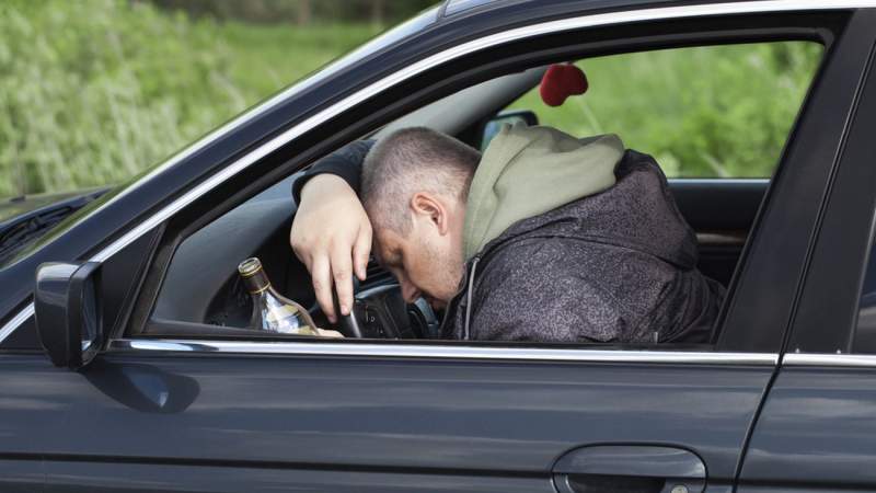 IVL / Shutterstock.com