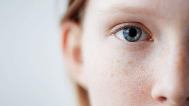 avemario / Shutterstock.com
