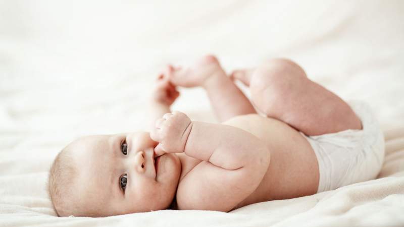 Alena Ozerova / Shutterstock.com