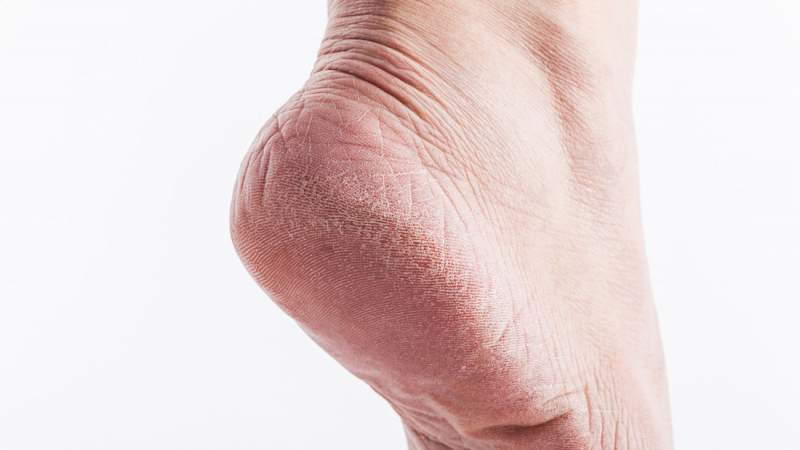 TRAIMAK / Shutterstock.com