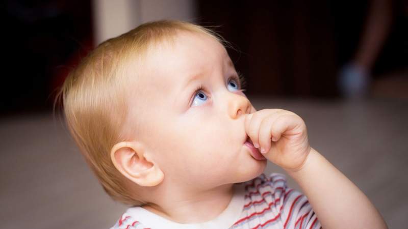 gerain / Shutterstock.com