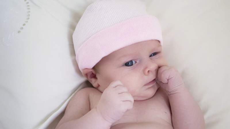 AnneMS / Shutterstock.com