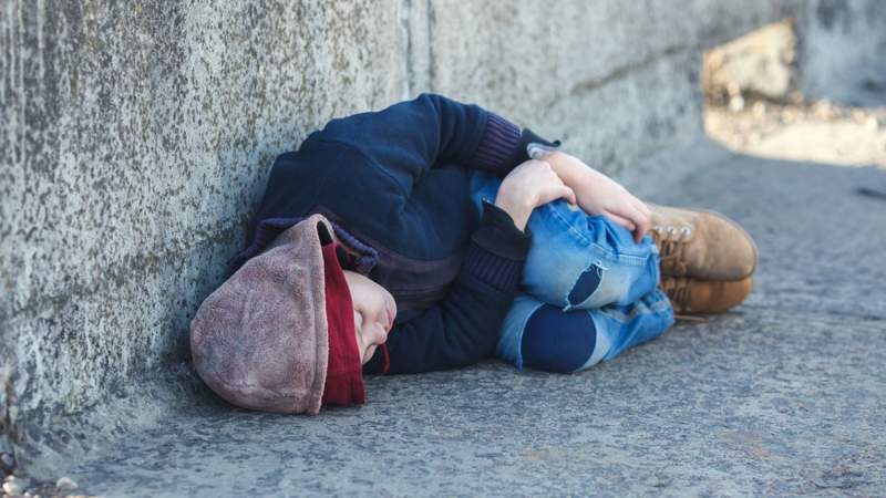 Roman Bodnarchuk / Shutterstock.com