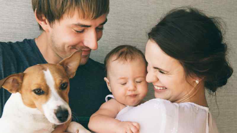 Romanova Anna / Shutterstock.com