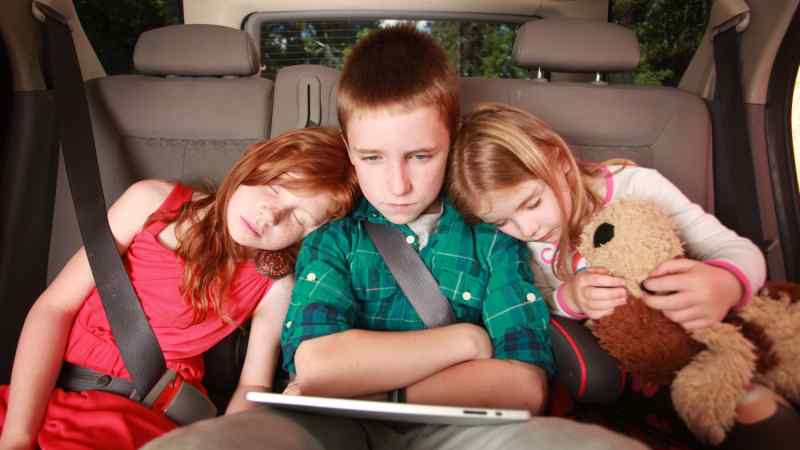 Collin Quinn Lomax / Shutterstock.com