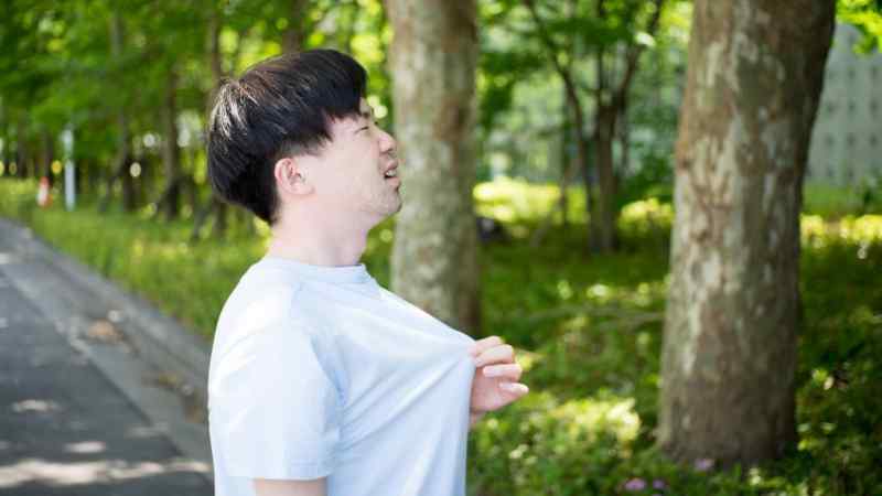 Keisuke_N / Shutterstock.com