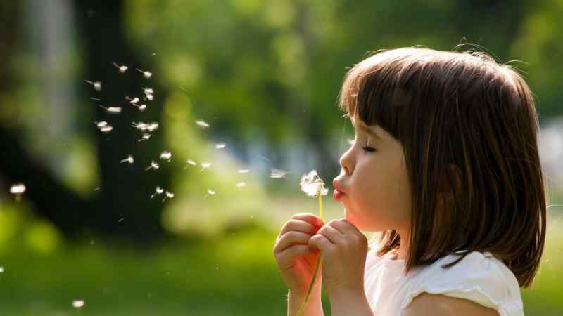 sindlera / Shutterstock.com