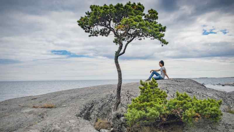 oceanwhisper / Shutterstock