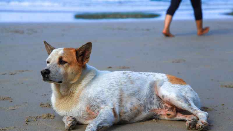 Kostafly / Shutterstock